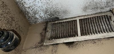 Mold in Air Ducts